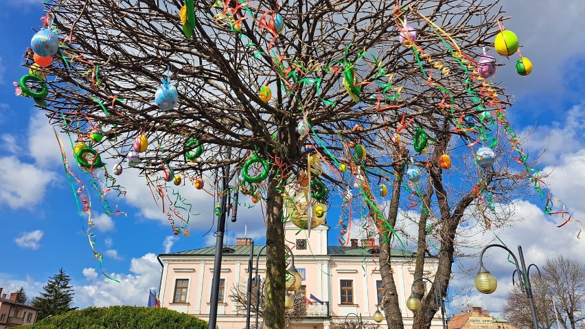 Kolorowe pisanki ozdobiły drzewa na rynku w Tuchowie