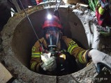 Strażacy uratowali kota uwięzionego w studni w miejscowości Głębockie Pierwsze, gmina Ślesin