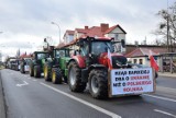 Protest rolników. Kolumna ok. 200 ciągników przejechała z Rusocina do Gdańska na protest |WIDEO