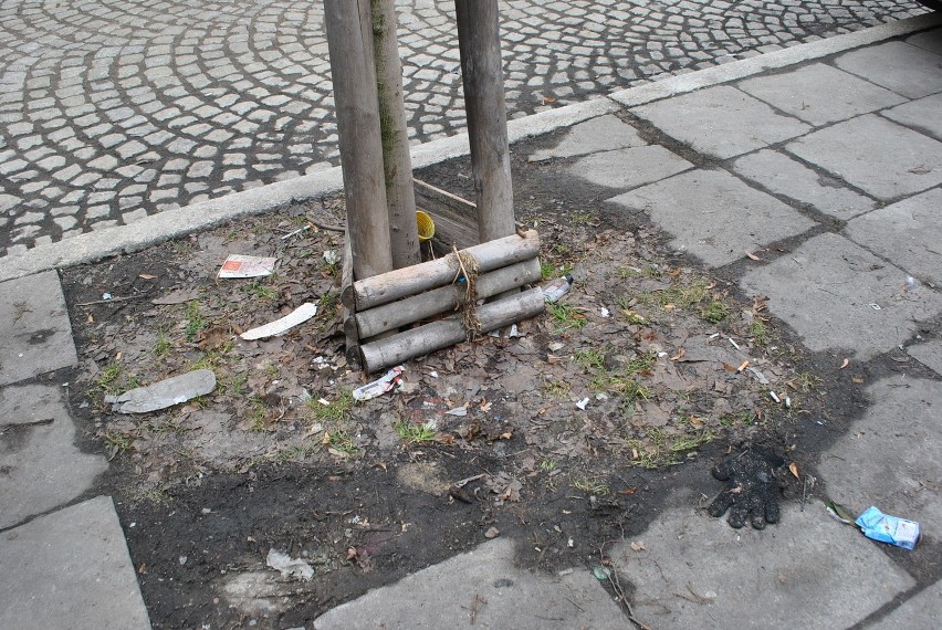 Odwilż obnażyła śmieci na poznańskich ulicach [ZDJĘCIA]