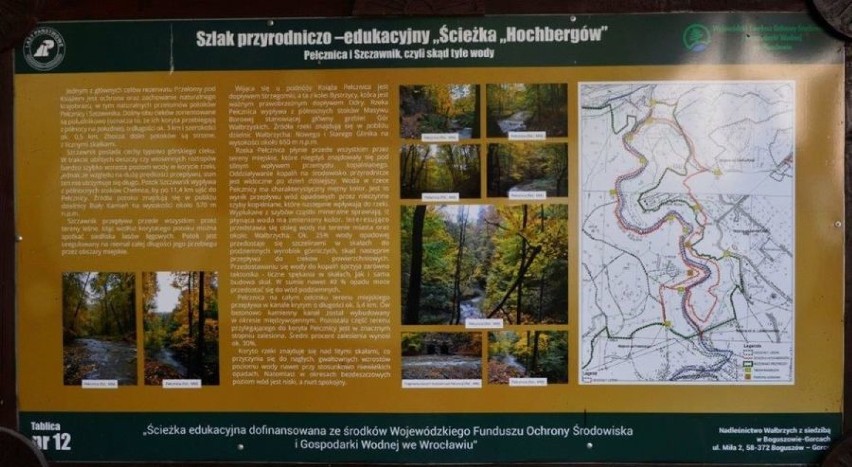 Ścieżka Hochbergów, czyli malowniczy spacer po parku Książańskim od strony Świebodzic (ZDJĘCIA)