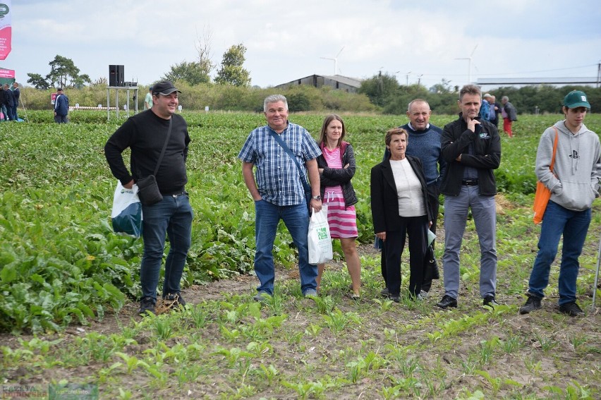 Warsztaty polowe 2022 dla producentów buraków cukrowych,...