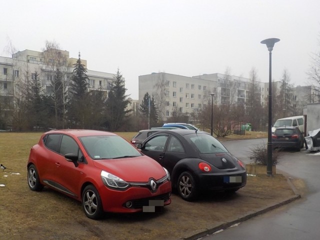 Trawniki, klomby, a nawet rozjeżdżone tereny, na których kiedyś rosła trawa. Tego typu miejsca często stają się parkingami.