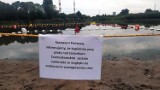 Zakaz kąpieli w Jeziorku Czerniakowskim. W wodzie zakwitły sinice