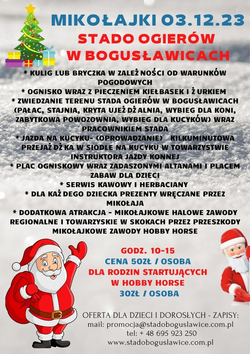 W weekend nie tylko Mikołajki. Co będzie się działo w weekend 2-3 grudnia w Piotrkowie i regionie?