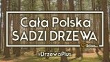 Kwidzyn: Platforma Obywatelska będzie sadzić drzewa. Startuje akcja #DrzewoPlus