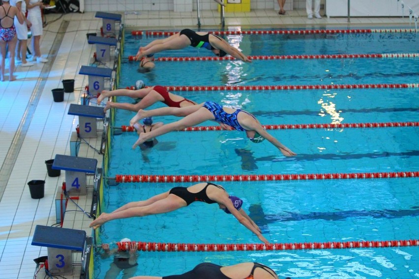Zawody pływackie Sheraton Cup w Poznaniu