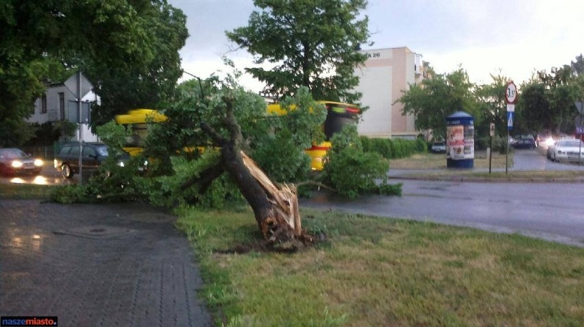 Burza nad Włocławkiem. Silny wiatr przewrócił drzewo na skrzyżowaniu ul. Kaliska i Dziewińska