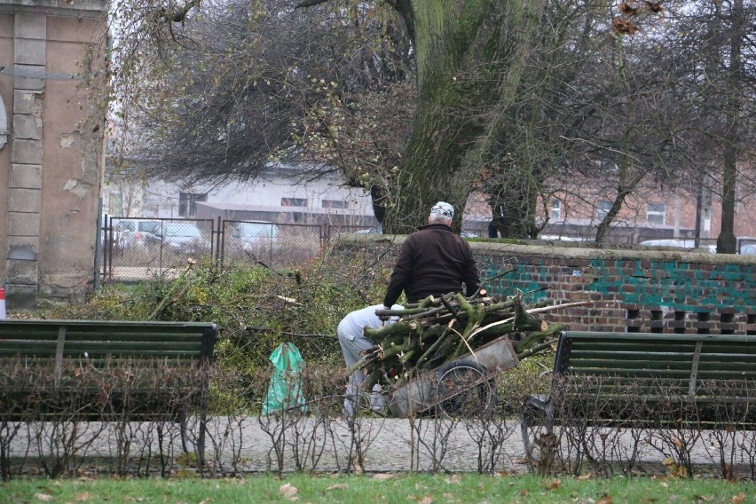 Już drugi raz arboryści z firmy Drzewonauta odwiedzili...