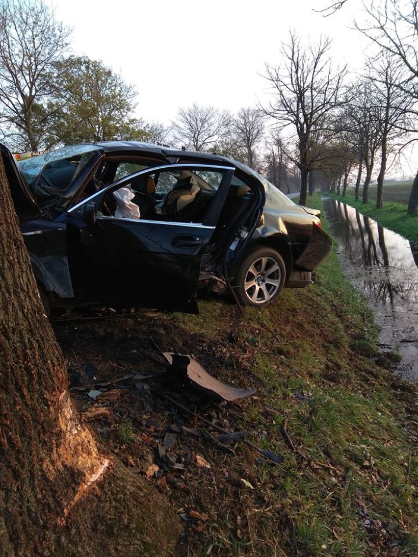 Kierowca wjechał w drzewo w Królewie [ZDJĘCIA]. Policja apeluje o rozsądną jazdę