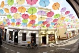 Widoki, jak z Paryża albo Sardynii. A to lubuskie miasteczko niedaleko Nowej Soli. Nad ulicą wiszą bajeczne parasolki