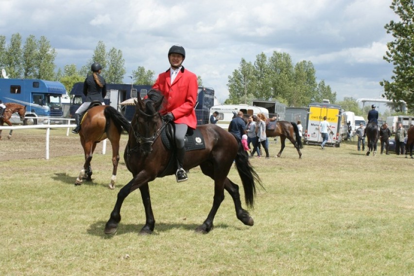 Zawody Jeździeckie Konin 2014