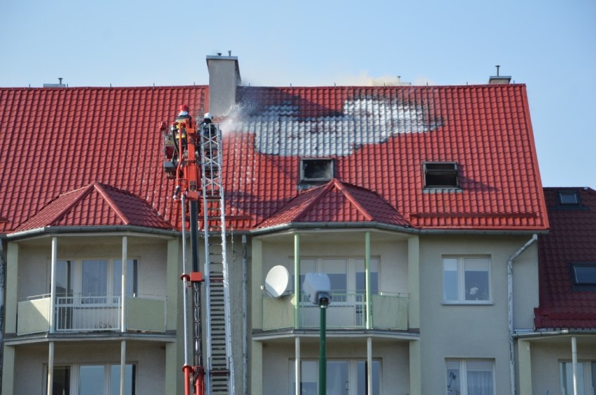 Pożar na ul. Chrobrego w Kwidzynie. Ewakuowano około 40 mieszkańców, przyczynę ustali policja  [ZDJĘCIA]