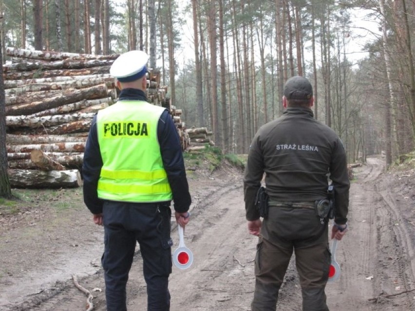 Powiat gdański: Policjanci ze strażą leśną sprawdzają miejsca z mapy zagrożeń
