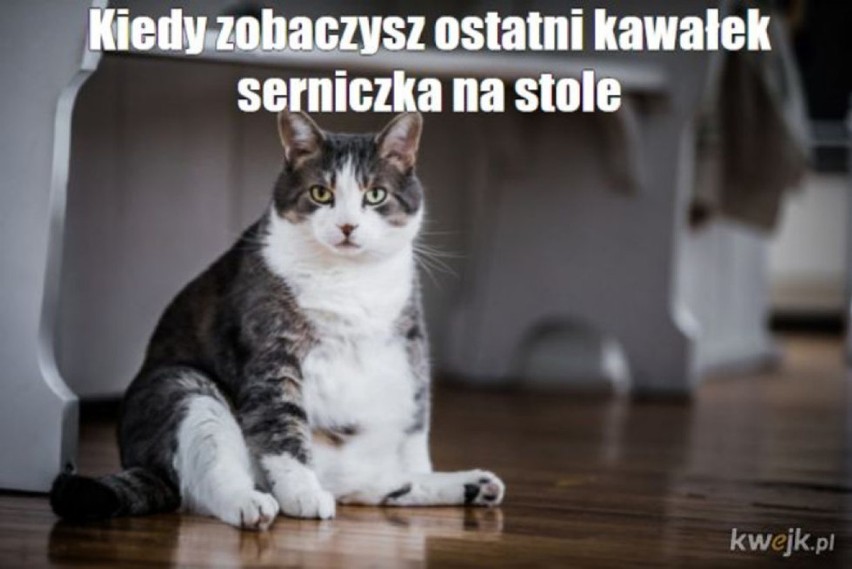 Najśmieszniejsze MEMY o świątecznym przejedzeniu [GALERIA]