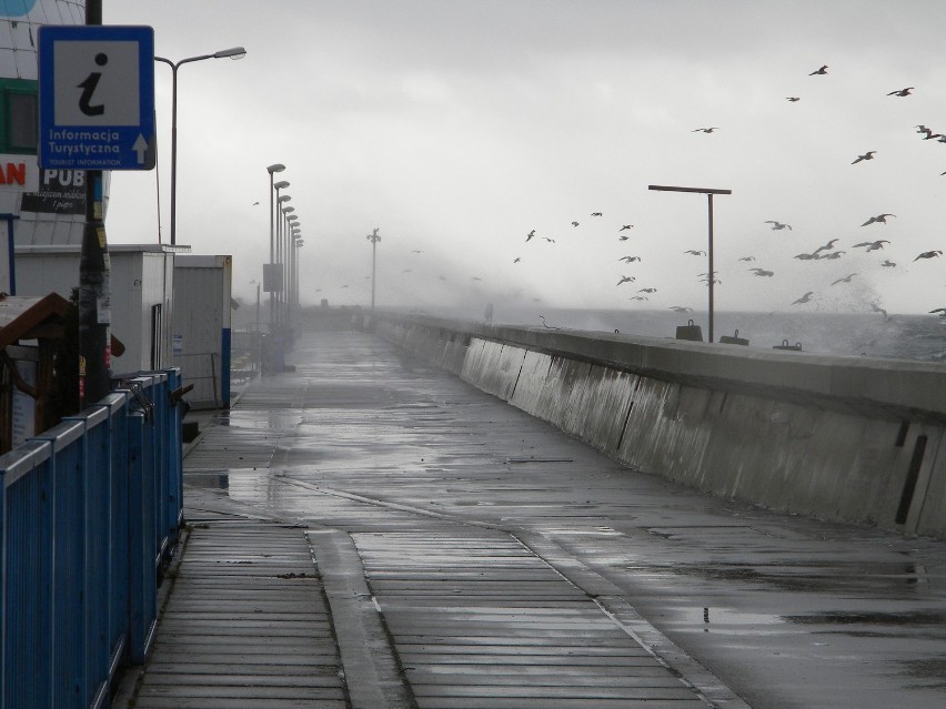 Półwysep Helski. Sztormowy wiatr uderzył z południa. Fale atakują port w Helu od strony Zatoki