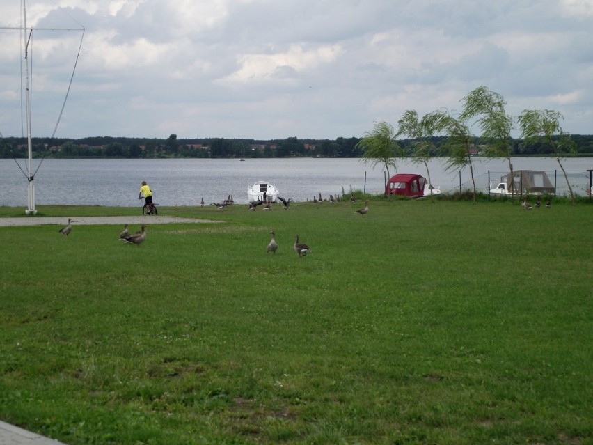 Wypożyczalnia sprzętu pływackiego i plażowego w "Łazienkach"