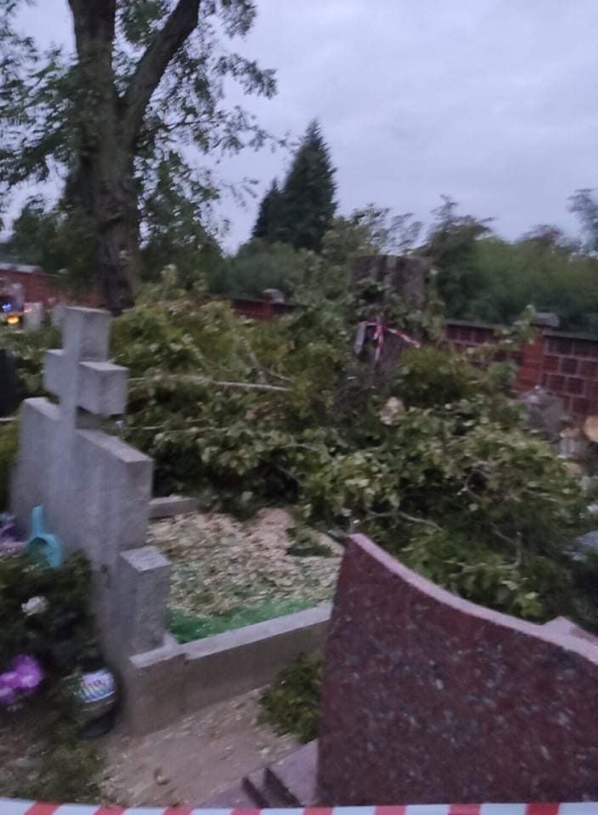 Afera na witkowskim cmentarzu – czy zdewastowano nagrobki (?) Facebook wrze, media poinformowane, a ze źródłem brak kontaktu [FOTO]