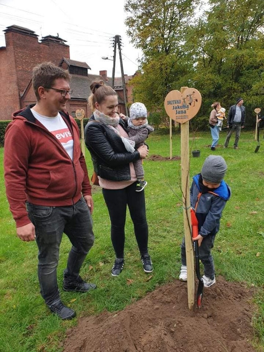 Gmina Śmigiel. W ramach akcji posadzono 50 drzew