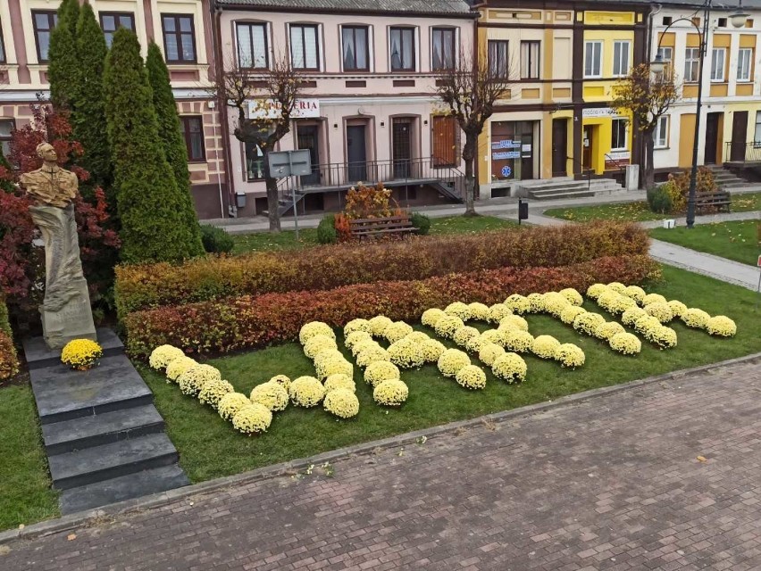 Święto Niepodległości.Chryzantemy w centrum Warty