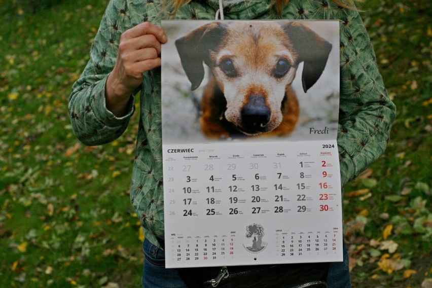 Schronisko dla Zwierząt w Wałbrzychu wydało kalendarz ze...