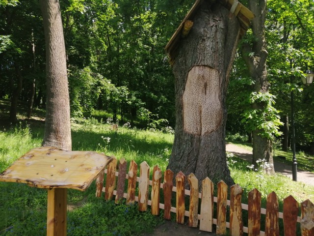 Pszczoły murarki - kolejna atrakcja Parku Piszczele w Sandomierzu