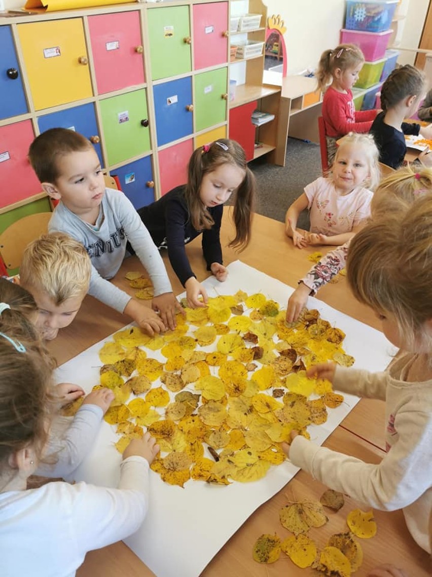 Święto dyni w przedszkolu w Sędziejowicach