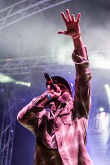 Polish Hip-Hop Festival. Nad Wisłą ponownie było tłumnie i głośno [ZDJĘCIA]
