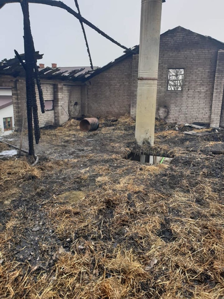 Pożar budynku gospodarczego w Rzeczycy. Dziesięć zastępów straży w akcji, duże straty [ZDJĘCIA]