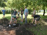 Częstochowa: W Zawodziu nowy plac zabaw budują studenci. Przyjechali na workcamp