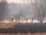Po kilku godzinach akcji strażakom udało się opanować pożar w Szczepocicach