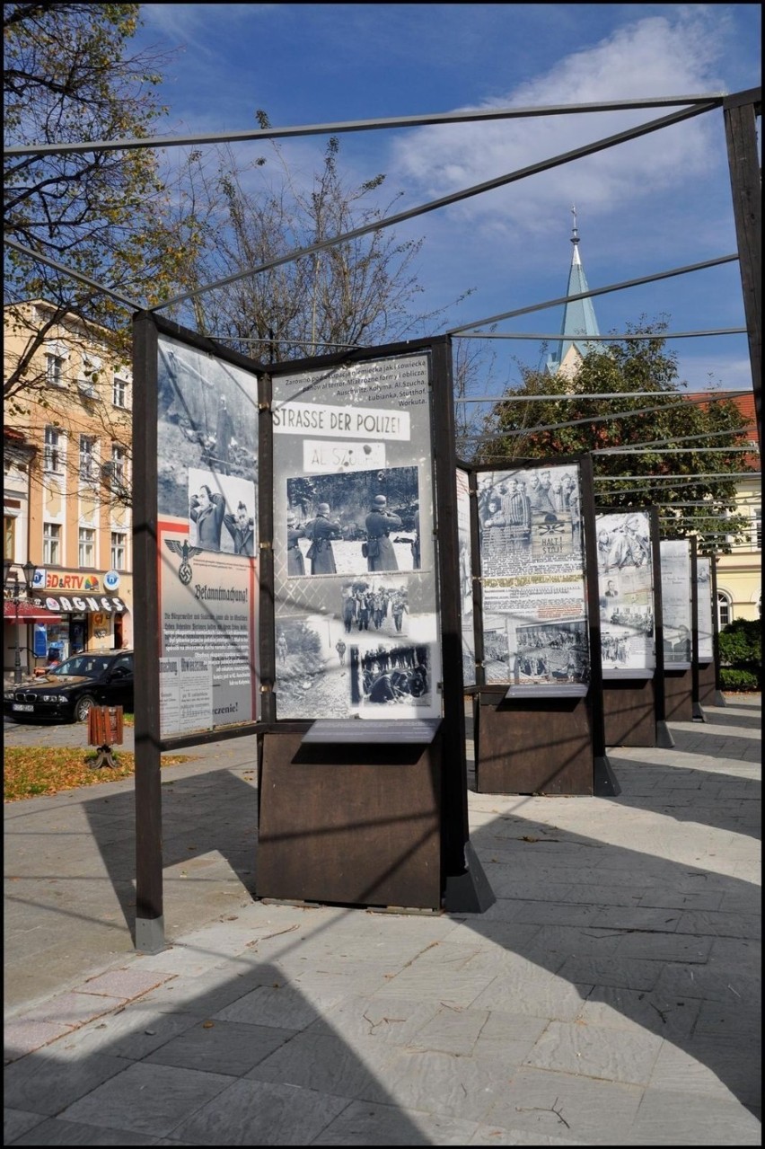 Wystawa ukazująca niezwykłą historię życia rotm. Witolda...