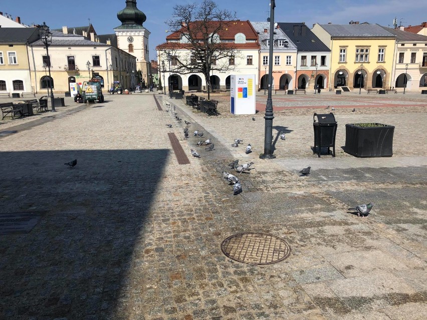 Koronawirus Krosno. Opustoszałe Krosno w sobotnie przedpołudnie. Ludzie siedzą w domach, a gołębie szaleją [ZDJĘCIA]