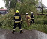 Gwałtowne burze przeszły w Łódzkiem. Ewakuowano obóz harcerski w gminie Skierniewice