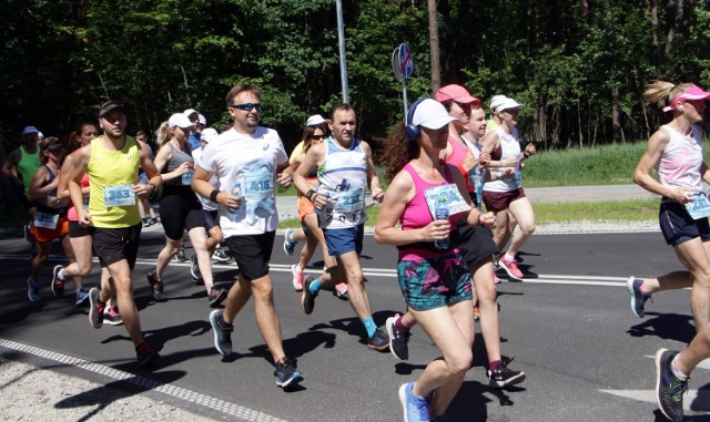 Blisko trzysta osób wystartowało w biegu Trzech Plaż na dystansie 7 kilometrów wokół Jeziora Rudnickiego w Grudziądzu już po raz dziewiąty.
