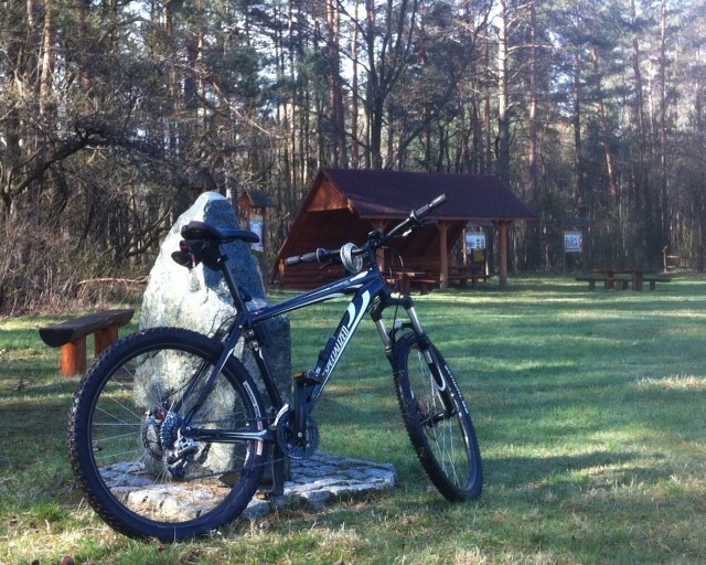 Lasy wokół Rybnika, Żor i  Pszczyny 
Idealne miejsce na rowerowe wycieczki. 

A może taka wyprawa wczesnym rankiem, gdy nie słychać miasta w oddali, przelatujących samolotów i głośnych kościelnych dzwonów? Gdzie całą muzykę lasu robi wyłącznie ptasia orkiestra? I kiedy szansa spotkania kolegi na rowerze zbliża się do zera?

W poszukiwaniu ciszy proponujemy las między Rybnikiem, Żorami i Orzeszem. Może w takim razie Kanetowiec, stacja wypoczynkowo- edukacyjna (na zdjęciu).