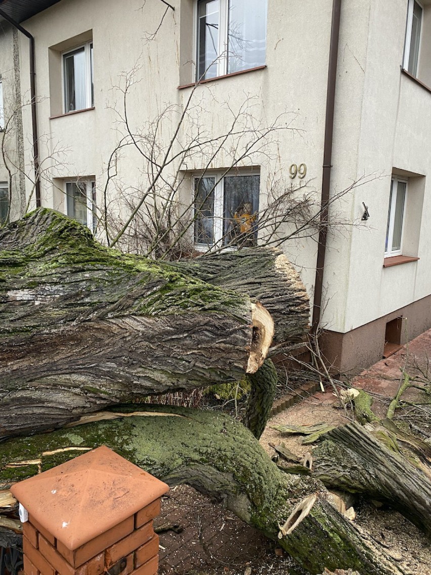 Wichura nad powiatem piotrkowskim zerwała dachy z wielu...