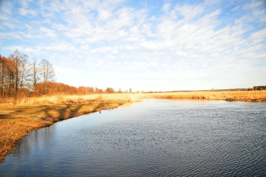 Zobaczcie, jak pięknie jest nad Biebrzą [ZDJĘCIA]