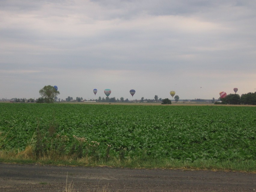 Balony nadlatujące z Włocławka. Fot. Judyta Rykowska