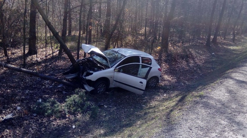 Wypadek na DK 91 w gminie Gomunice. Samochód uderzył w drzewo 