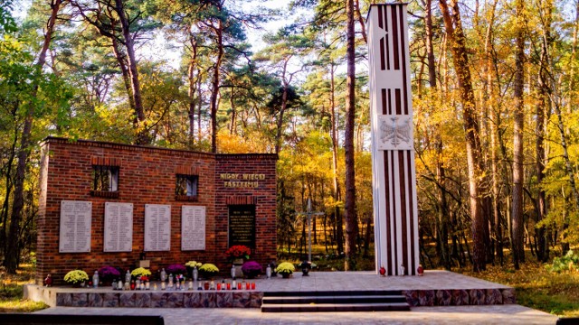 Sporo osób odwiedza miejsce pamięci narodowej w Leśnictwie Dąbki