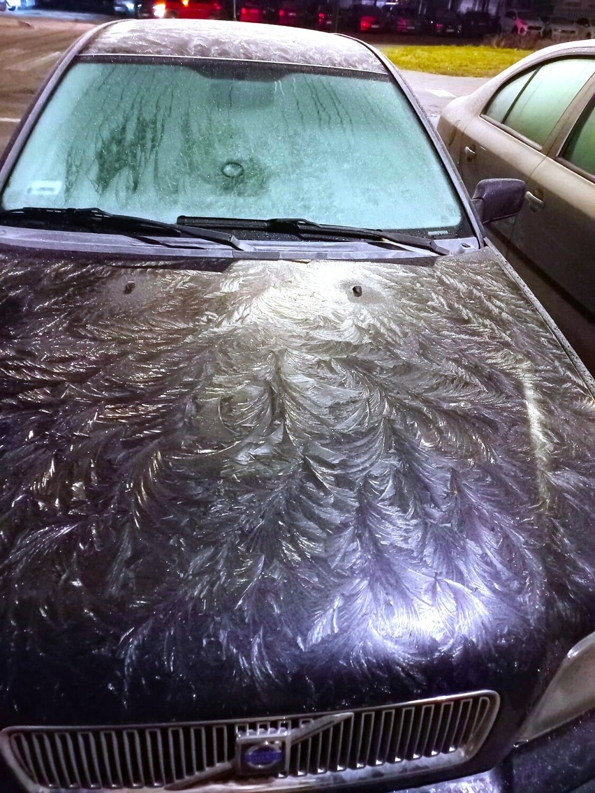 Mróz namalował piękne wzory na maskach samochodów. Zdjęcia z parkingu w Koninie