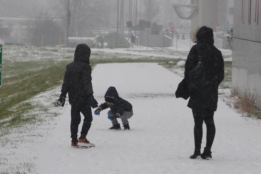 3 grudnia w Poznaniu wypadł śnieg. W związku z opadami na...