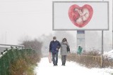 W Poznaniu spadł śnieg! Zima zaskoczyła kierowców i drogowców? Zobacz zdjęcia