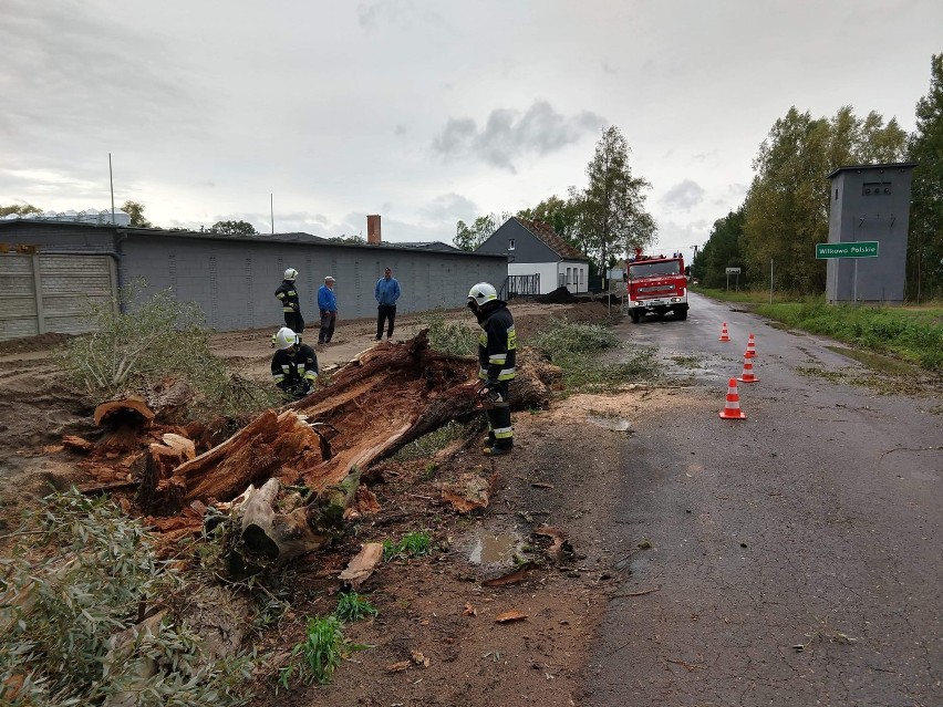 Strażacy podsumowali skutki poniedziałkowej wichury w powiecie grodziskim