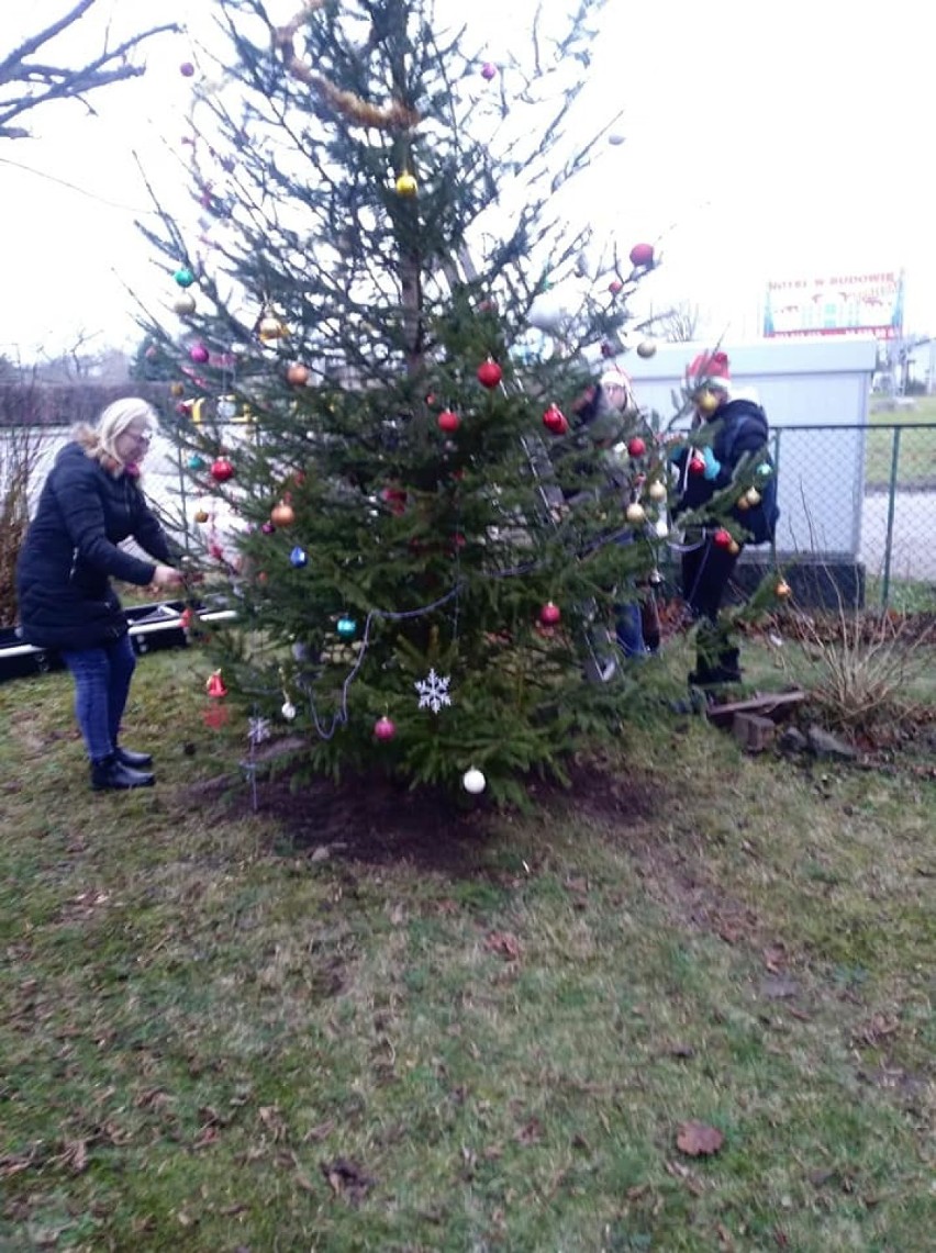Choinka w sołectwie Mieroszyno. Przed Bożym Narodzeniem 2019 narodziła się nowa tradycja: wspólnie przystroili świąteczne drzewko