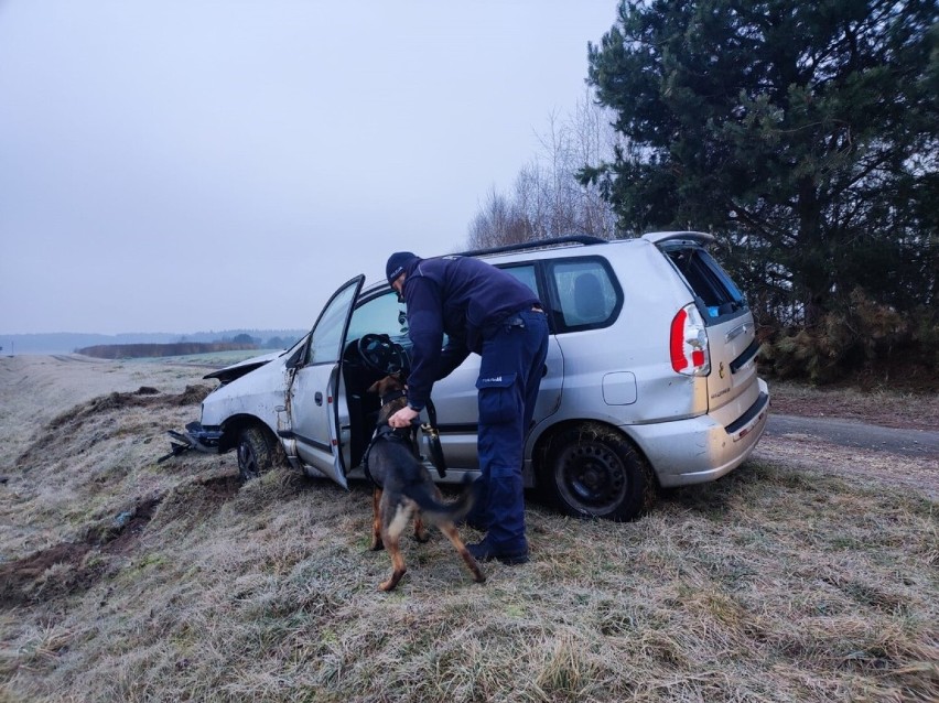 22-latek z Pajęczna wpadł autem do rowu. Miał przy sobie marihuanę