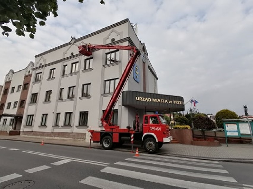 Gmina Trzebinia stawia na ekologiczną walkę z komarami. Pomogą jerzyki 