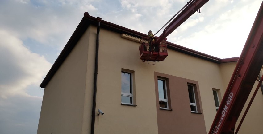 Gmina Trzebinia stawia na ekologiczną walkę z komarami. Pomogą jerzyki 