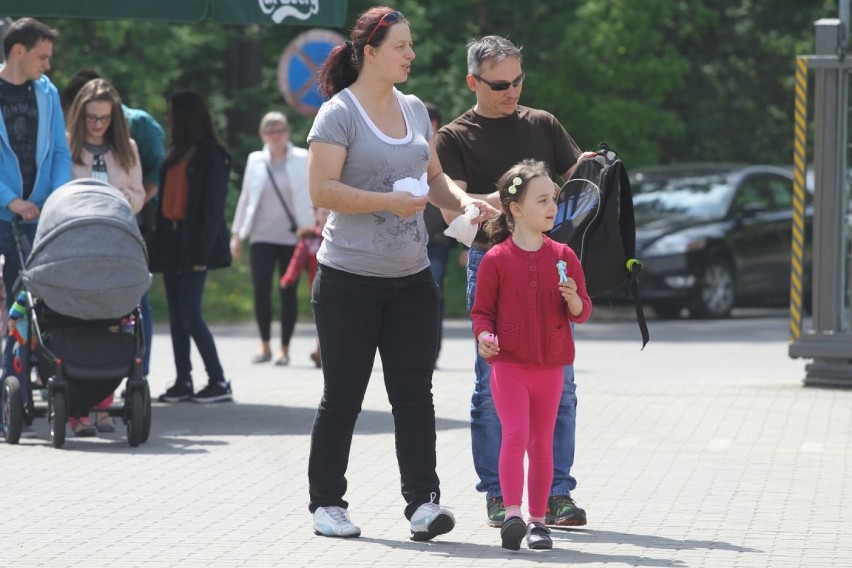 Dzień Drzwi Otwartych Amcor Złotów